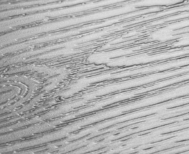 SPC Flooring EIR technology