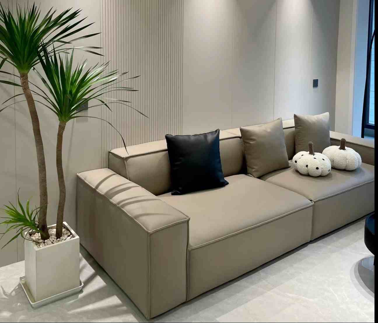 WPC Wall Panels In Living Room
