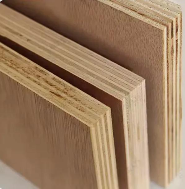 Film Faced Plywood Cross section