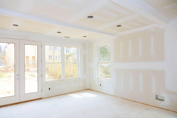 Gypsum board