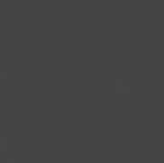 film faced Plywood dark grey