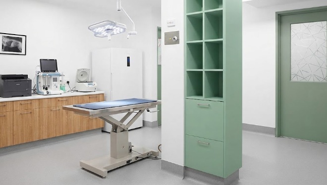 Huigongwallpanels Solutions for Pet Friendly Commercial Space