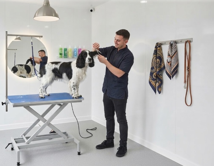 Wall & Flooring Solutions for Pet-Friendly Commercial Projects